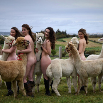 Bare Bottom calendars.
